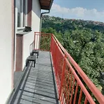 In Nature * Saraievo