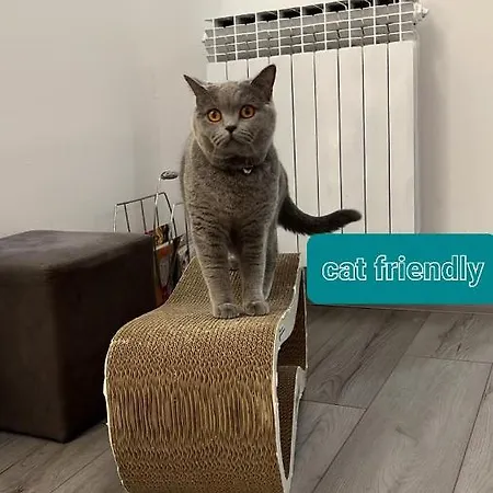 Apartamento In Nature Sarajevo